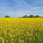 Feriendomizil-vulkaneifel Semesterbostad *