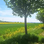 Feriendomizil-vulkaneifel Semesterbostad Hillesheim (Vulkaneifel)