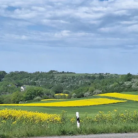 Дом отдыха Feriendomizil-vulkaneifel