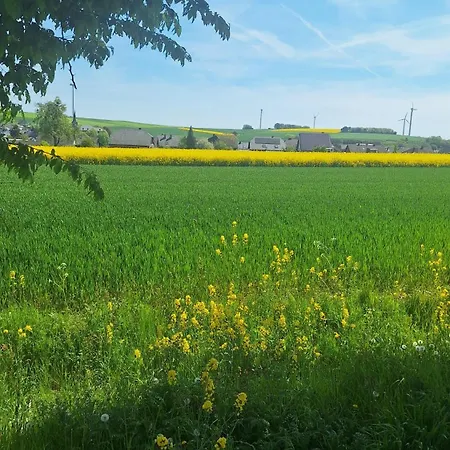 Дом отдыха Feriendomizil-vulkaneifel