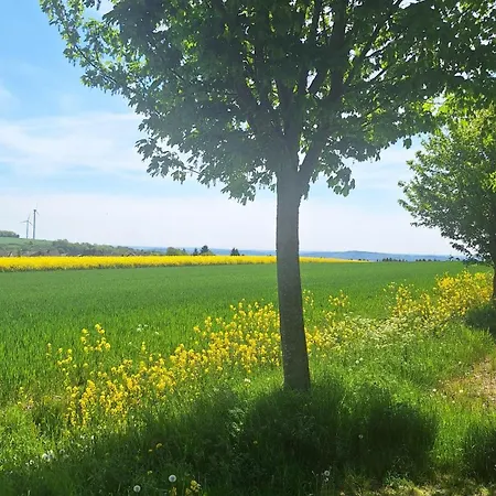 Feriendomizil-vulkaneifel Дом отдыха Хиллесхайм