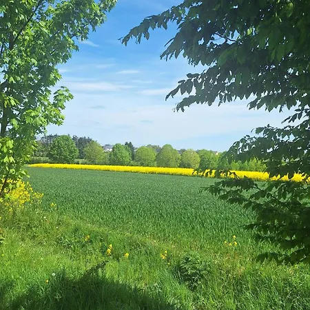 Дом отдыха Feriendomizil-vulkaneifel